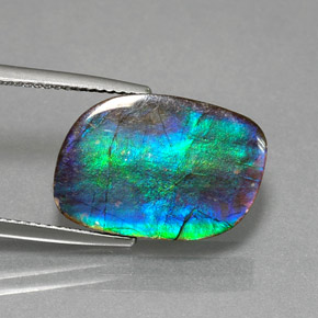Ammolite naturale multicolore da 8,79 ct, forma fantasia, opaco
