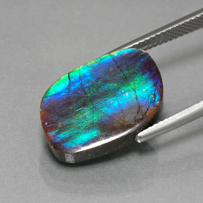 Ammolite naturale multicolore da 8,79 ct, forma fantasia, opaco