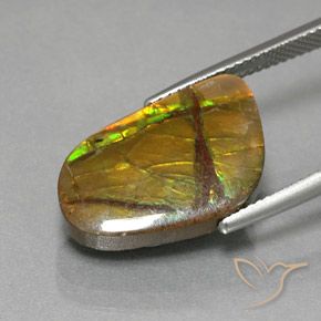 Ammolite Multicolore naturale da 8.36 ct, Taglio a fantasia, Opaco