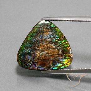 12.33ct Naturale Multicolore Ammolite, Taglio trillion, Opaco