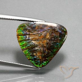 Ammolite Multicolore naturale da 12.33 ct, Taglio trillion, Opaco