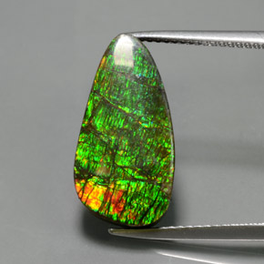 Ammolite Multicolore naturale da 7.57 ct, Forma fantasia, Opaco