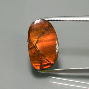 Ammolite Multicolore naturale da 5.02 ct, Forma fantasia, Opaco