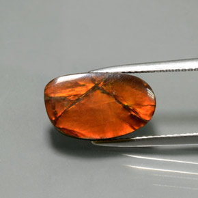 Ammolite Multicolore naturale da 5.02 ct, Forma fantasia, Opaco