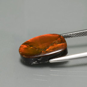 Ammolite Multicolore naturale da 5.02 ct, Forma fantasia, Opaco