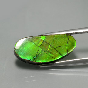 Ammolite naturale multicolore da 6,87 ct, forma fantasia, opaco