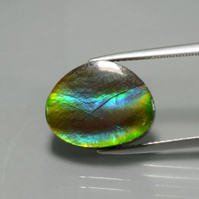 Ammolite Multicolore naturale da 7.03 ct, Forma fantasia, Opaco