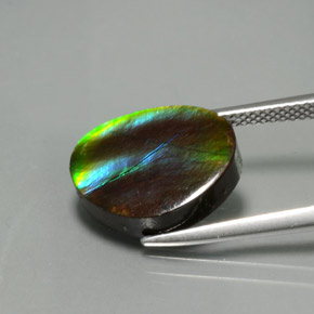 Ammolite Multicolore naturale da 7.03 ct, Forma fantasia, Opaco