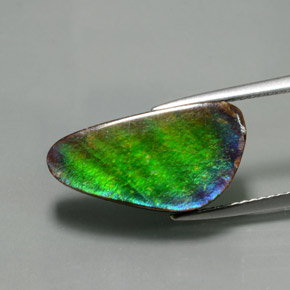Ammolite Multicolore naturale da 6.53 ct, Forma fantasia, Opaco
