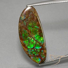 12.02ct Naturale Multicolore Ammolite, Taglio a fantasia, Opaco