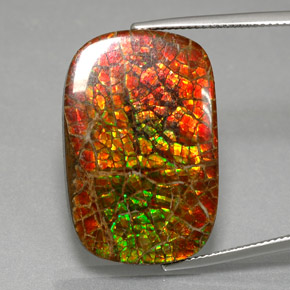 Ammolite multicolore naturale da 31,31 ct, taglio a cuscino, opaco