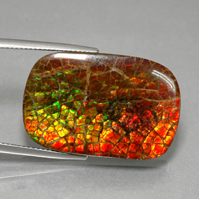 Ammolite multicolore naturale da 31,31 ct, taglio a cuscino, opaco