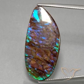 19.21ct Naturale Multicolore Ammolite, Taglio a fantasia, Opaco