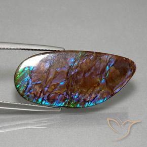 Ammolite Multicolore naturale da 19.21 ct, Taglio a fantasia, Opaco