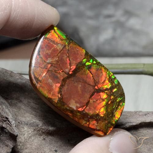 26.89ct Naturale Multicolore Ammolite, Taglio a fantasia, Opaco