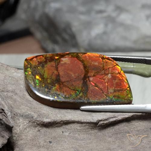 Ammolite Multicolore naturale da 26.89 ct, Taglio a fantasia, Opaco