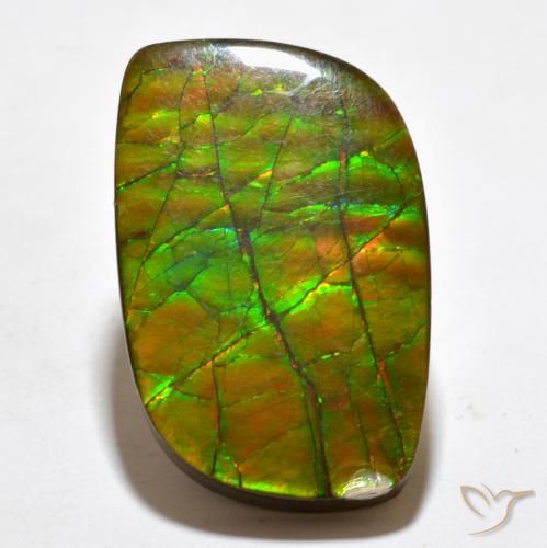 19.27ct Naturale Multicolore Ammolite, Taglio a fantasia, Opaco