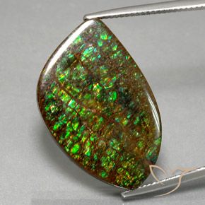 21.29ct Naturale Multicolore Ammolite, Taglio a fantasia, Opaco