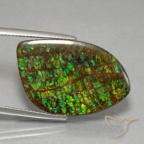 Ammolite Multicolore naturale da 21.29 ct, Taglio a fantasia, Opaco