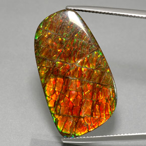 Ammolite naturale multicolore da 30,98 ct, forma fantasia, opaco