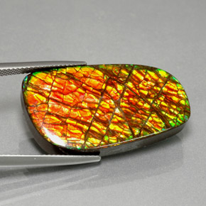 Ammolite naturale multicolore da 30,98 ct, forma fantasia, opaco