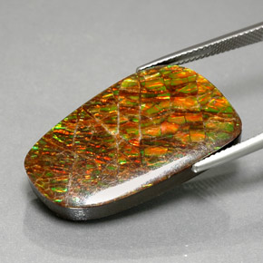 Ammolite naturale multicolore da 30,98 ct, forma fantasia, opaco