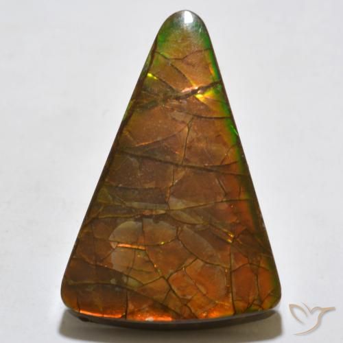 20.44ct Naturale Multicolore Ammolite, Taglio trillion, Opaco