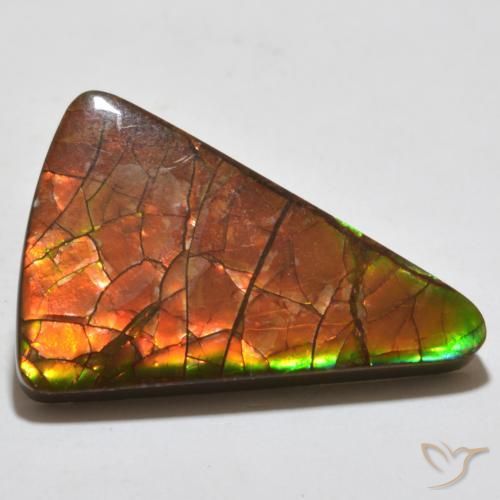 Ammolite Multicolore naturale da 20.44 ct, Taglio trillion, Opaco