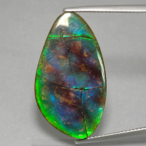 Ammolite naturale multicolore da 18,18 ct, forma fantasia, opaco