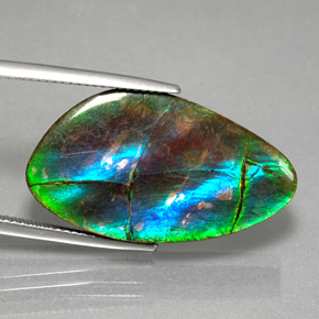 Ammolite naturale multicolore da 18,18 ct, forma fantasia, opaco
