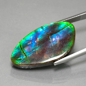 Ammolite naturale multicolore da 18,18 ct, forma fantasia, opaco
