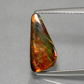 Ammolite naturale multicolore da 3,13 ct, forma fantasia, opaco