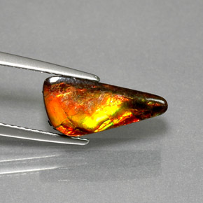 Ammolite naturale multicolore da 3,13 ct, forma fantasia, opaco
