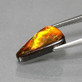 Ammolite naturale multicolore da 3,13 ct, forma fantasia, opaco