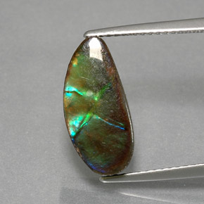 Ammolite Multicolore naturale da 4.32 ct, Forma fantasia, Opaco