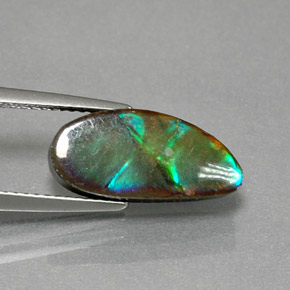 Ammolite Multicolore naturale da 4.32 ct, Forma fantasia, Opaco