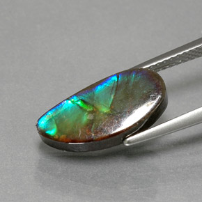 Ammolite Multicolore naturale da 4.32 ct, Forma fantasia, Opaco