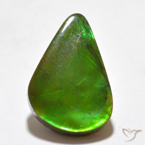 7.77ct Naturale Multicolore Ammolite, Taglio a fantasia, Opaco