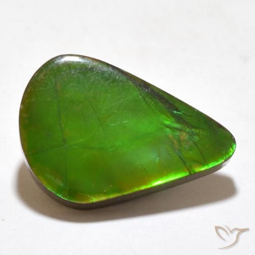 Ammolite Multicolore naturale da 7.77 ct, Taglio a fantasia, Opaco