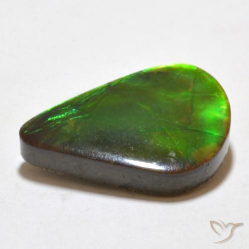 Ammolite Multicolore naturale da 7.77 ct, Taglio a fantasia, Opaco