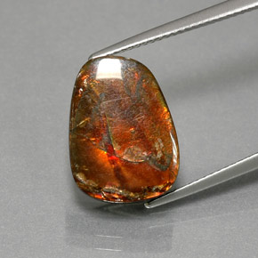 Ammolite naturale multicolore da 7,76 ct, forma fantasia, opaco