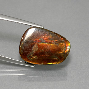 Ammolite naturale multicolore da 7,76 ct, forma fantasia, opaco