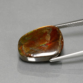 Ammolite naturale multicolore da 7,76 ct, forma fantasia, opaco