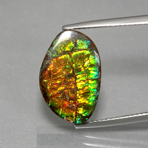 Ammolite Multicolore naturale da 7.40 ct, Forma fantasia, Opaco