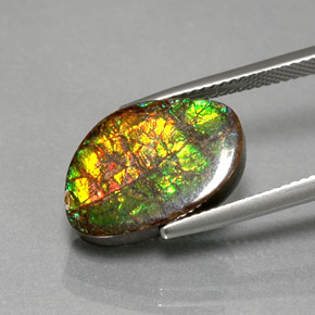 Ammolite Multicolore naturale da 7.40 ct, Forma fantasia, Opaco