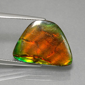 Ammolite Multicolore naturale da 9.79 ct, Forma fantasia, Opaco