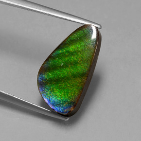 Ammolite Multicolore naturale da 6.53 ct, Forma fantasia, Opaco