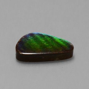 Ammolite Multicolore naturale da 6.53 ct, Forma fantasia, Opaco