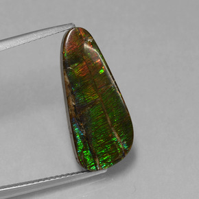 Ammolite Multicolore naturale da 7.96 ct, Forma fantasia, Opaco