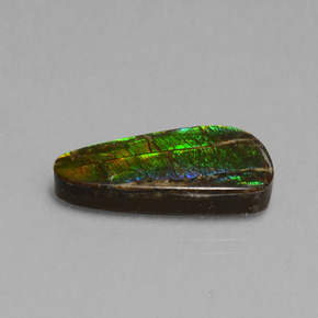 Ammolite Multicolore naturale da 7.96 ct, Forma fantasia, Opaco
